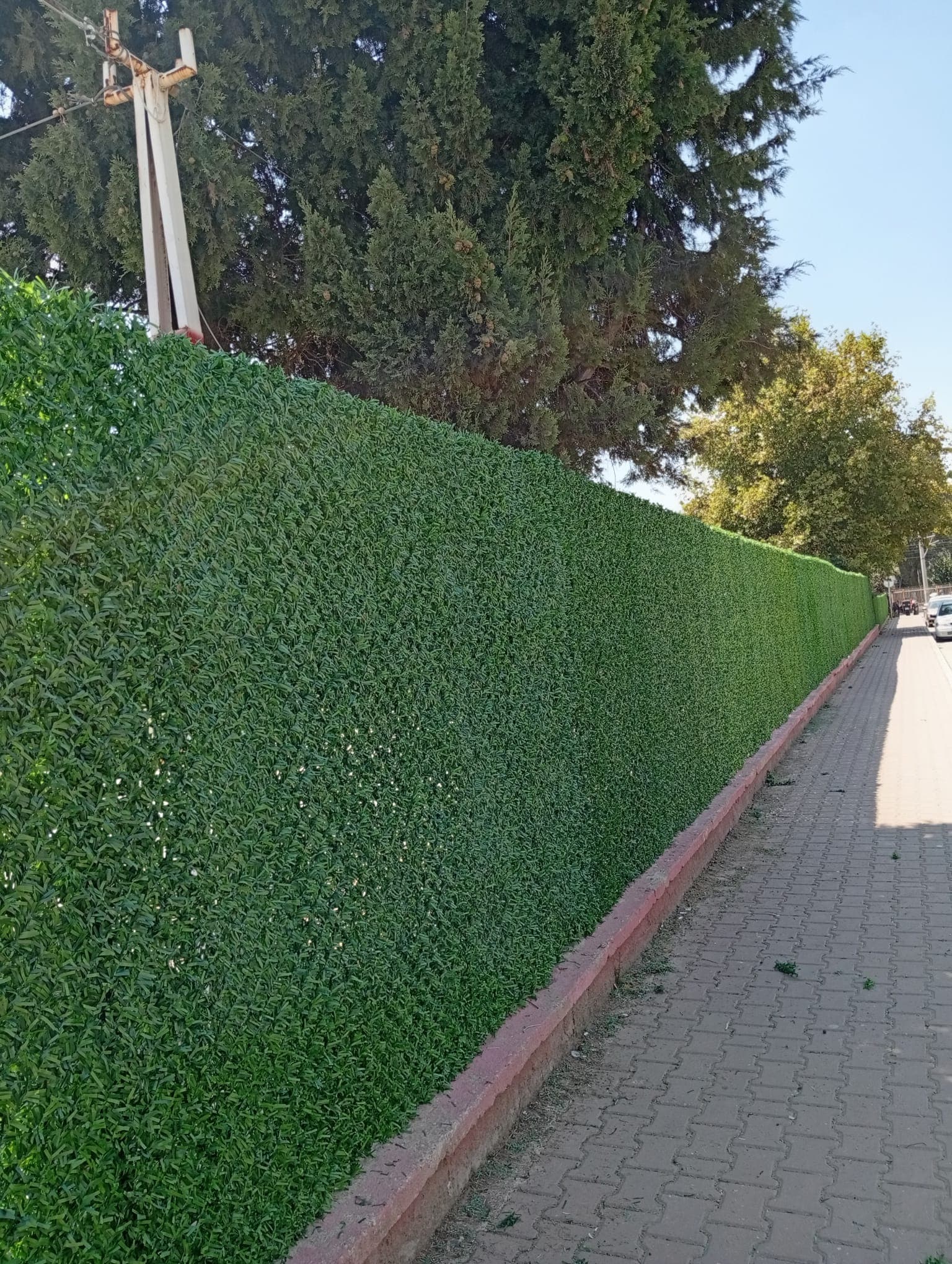 Çim Çit Uygulaması